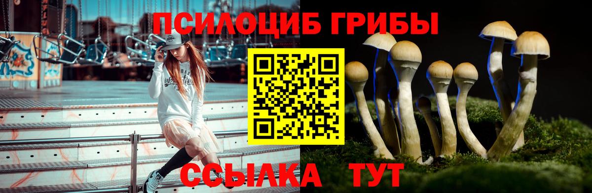 Галлюциногенные грибы ЛСД  Галлюциногенные грибы прущие грибы  Гурьевск  Вход с VPN 